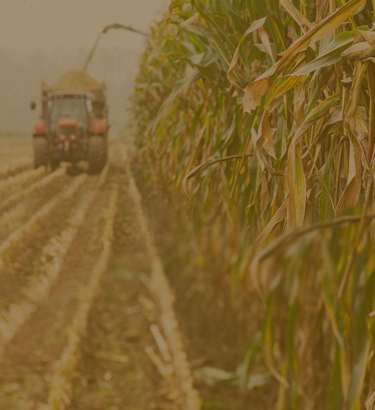 Produzione Agronomica